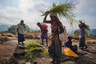 Korenkombu – Hoffnung für die Urbevölkerung Indiens