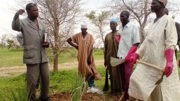 Schutz und Bewirtschaftung der Doum-Palme im Goulbi N‘Kaba-Tal