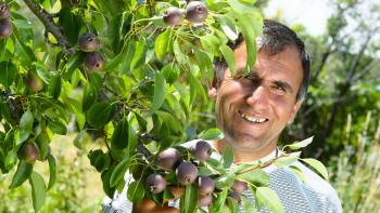 Neue Anbautechniken für die Früchteproduzenten in Vayots Dzor und Gegharkunik