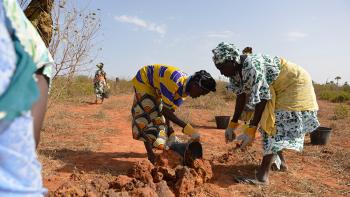 Förderung ökologischer Landwirtschaft in Keur Moussa (Bild Nr. 764.302) Teaser